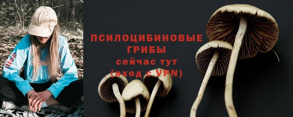 не бодяженный Абаза