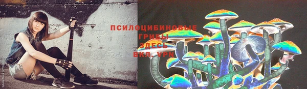 не бодяженный Абаза