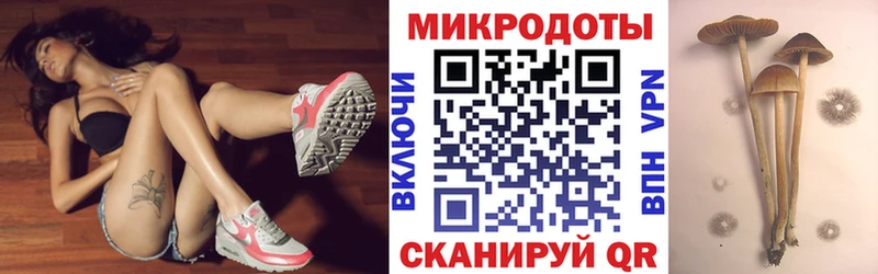 ОМГ ОМГ ссылка  Емва  Псилоцибиновые грибы MAGIC MUSHROOMS 